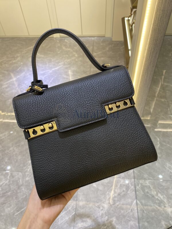 Delvaux Tempete PM | Black in Veins-Grain Leather