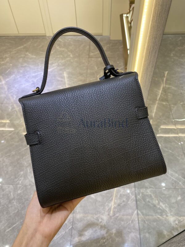 Delvaux Tempete PM | Black in Veins-Grain Leather