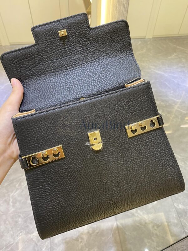 Delvaux Tempete PM | Black in Veins-Grain Leather