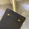 Delvaux Tempete PM | Black in Veins-Grain Leather