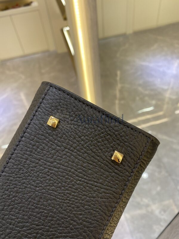 Delvaux Tempete PM | Black in Veins-Grain Leather