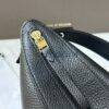 Delvaux Pin Swing (Black)