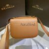 Delvaux Lingot Tan