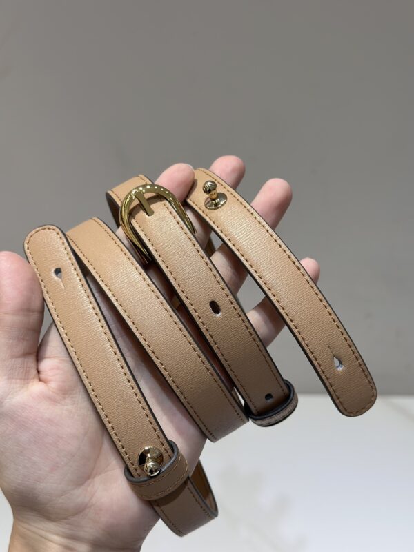 DelvauxPM奶茶色8.jpg Delvaux/PM (Milk tea color)