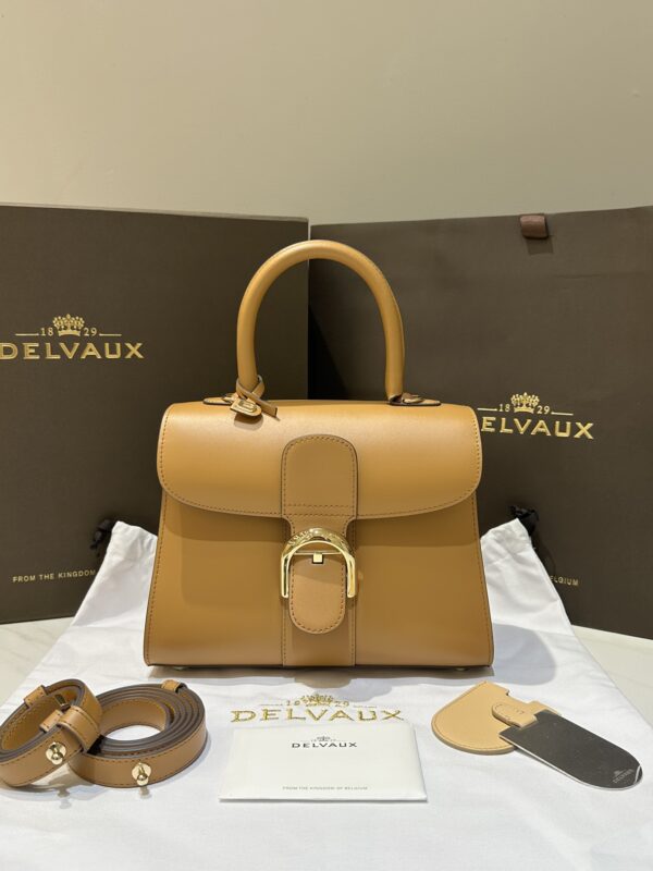 PM焦糖色1.jpg Delvaux /PM(Caramel color)