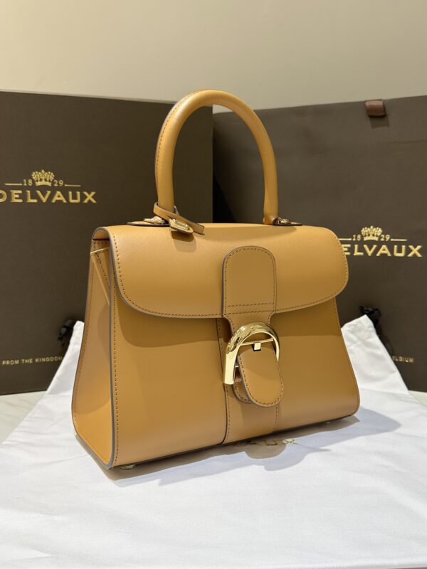PM焦糖色2.jpg Delvaux /PM(Caramel color)
