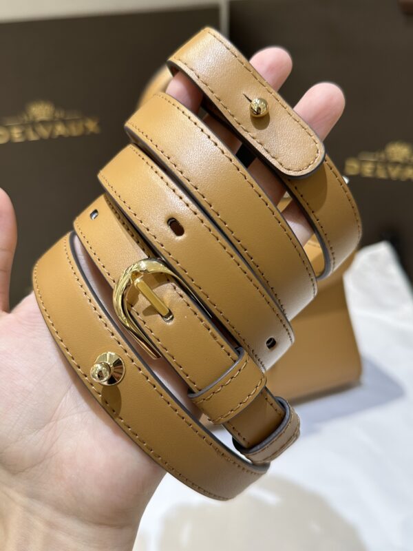 PM焦糖色8.jpg Delvaux /PM(Caramel color)