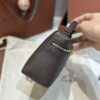 [L19 Chocolate Brown with Gold Buckle (New Version)]
